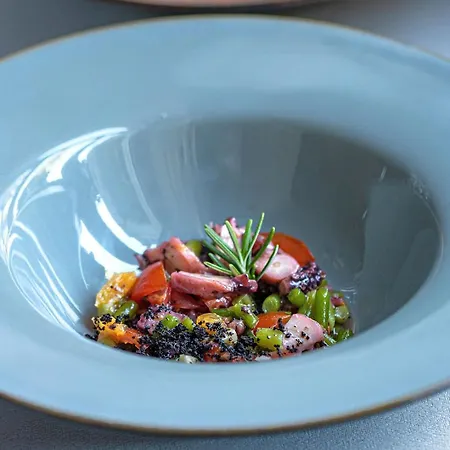 Ariston 奥帕提亚