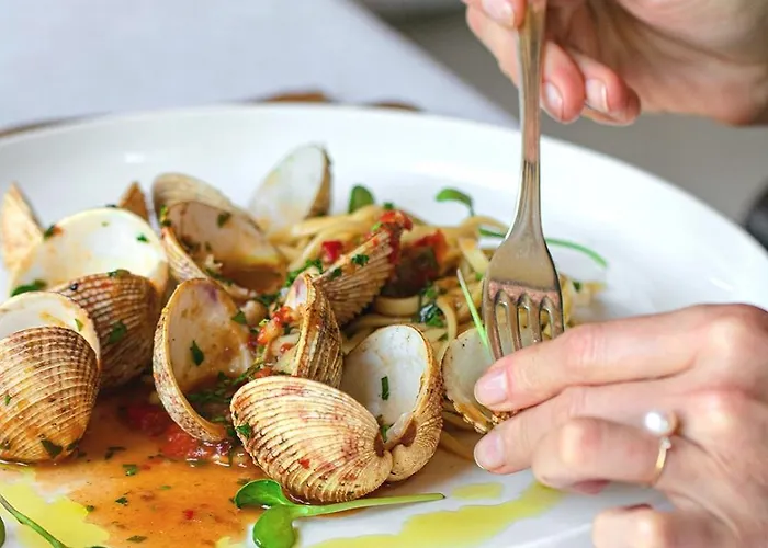 Ariston オパティヤ